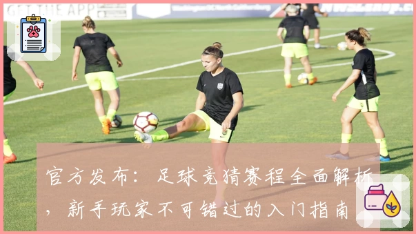 官方发布：足球竞猜赛程全面解析，新手玩家不可错过的入门指南