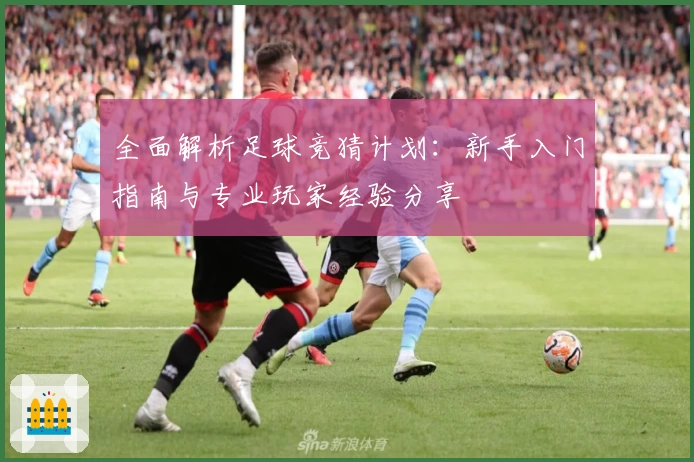 全面解析足球竞猜计划：新手入门指南与专业玩家经验分享