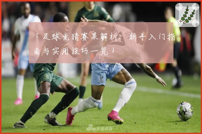 「足球竞猜赛果解析：新手入门指南与实用技巧一览」