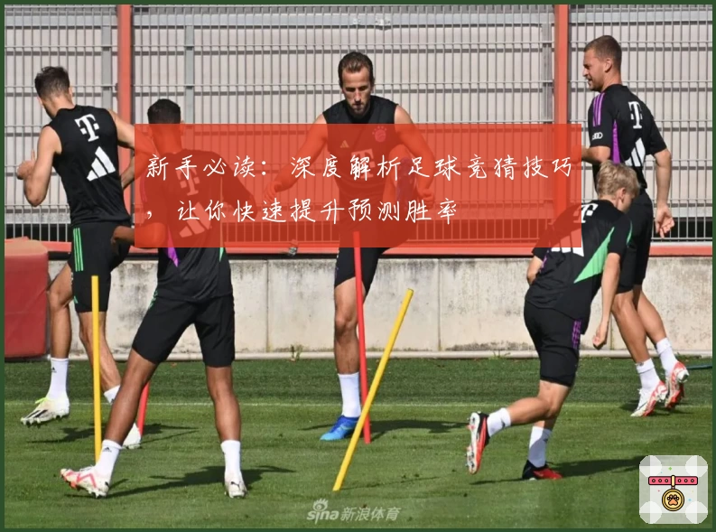 新手必读：深度解析足球竞猜技巧，让你快速提升预测胜率