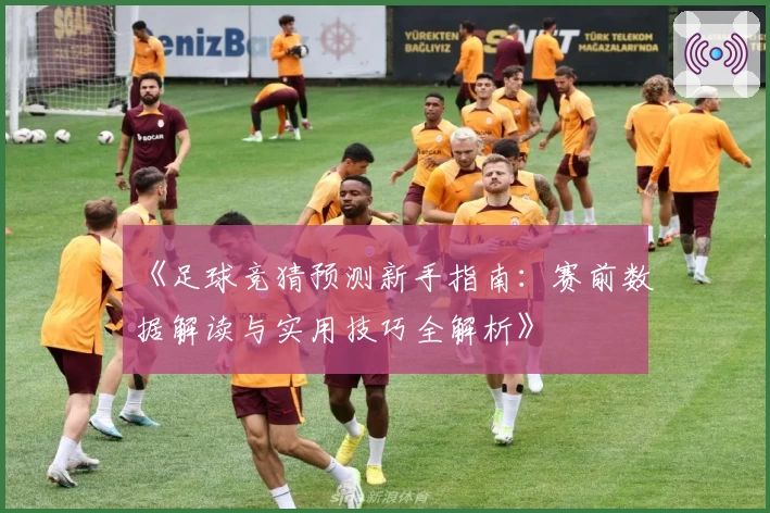 《足球竞猜预测新手指南：赛前数据解读与实用技巧全解析》