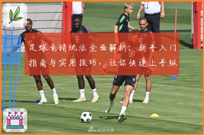 足球竞猜玩法全面解析:新手入门指南与实用技巧,让你快速上手纵享比赛乐趣