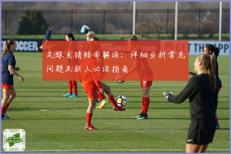 足球竞猜赔率解读：详细分析常见问题及新人必读指南